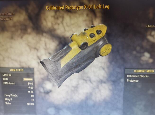 Calibrated Prototype X-01 Left Leg 02.jpg