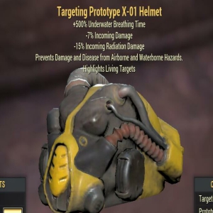 Targeting Prototype X-01 Helmet Level 50