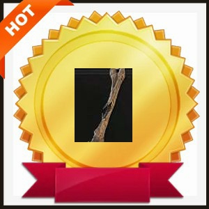 10x Blackened Femur