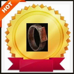 Panoptic Ring