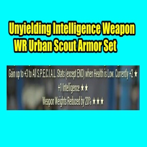 Unyielding Intelligence Weapon WR Urban Scout Armor Set 3 Stars PC