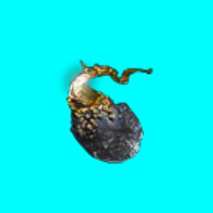 200 * Orb of Alchemy
