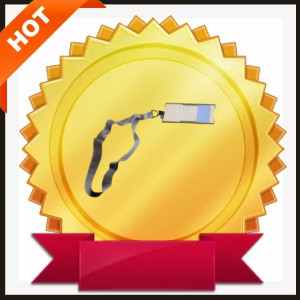 Blue Gate Communication Tower Key